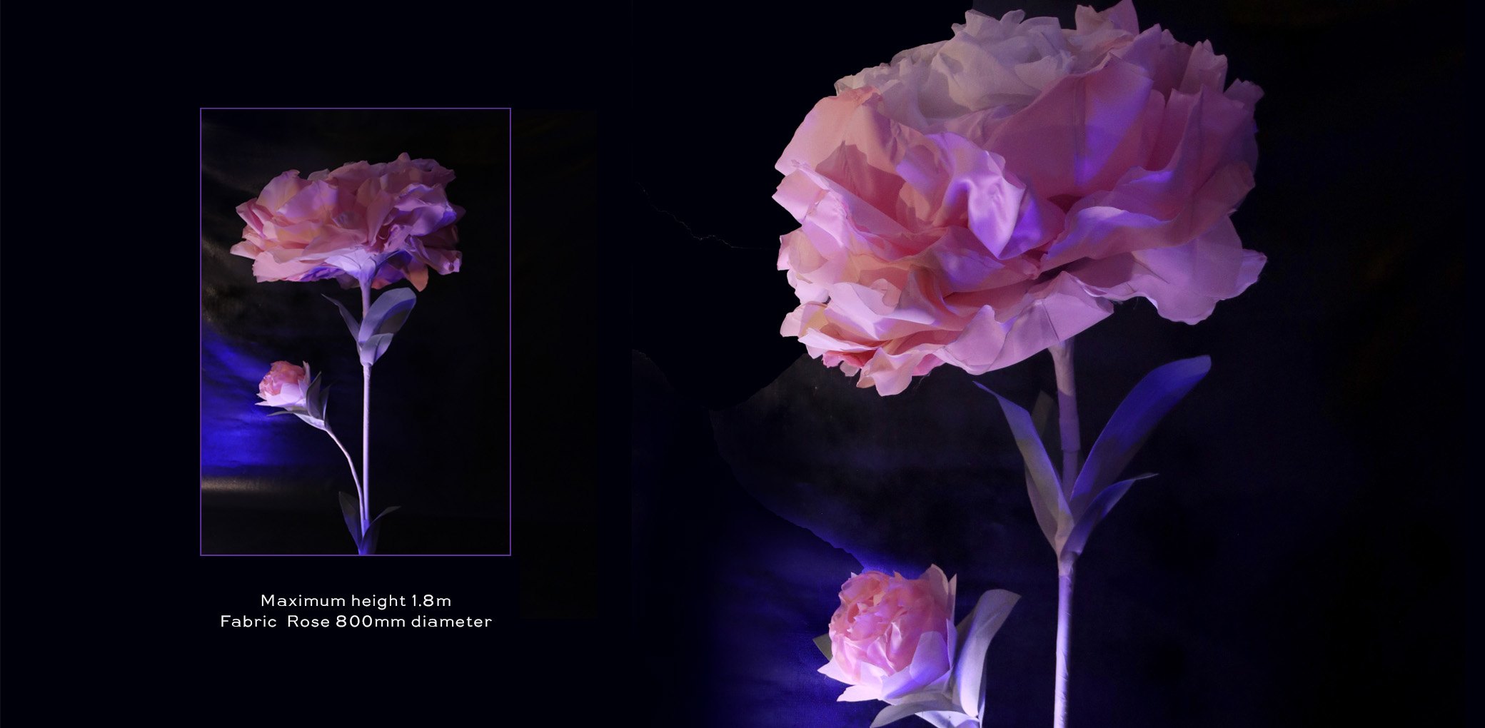 Pink Organza